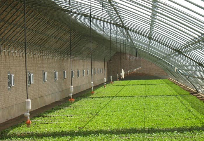 農(nóng)業(yè)種植如何因地施肥?