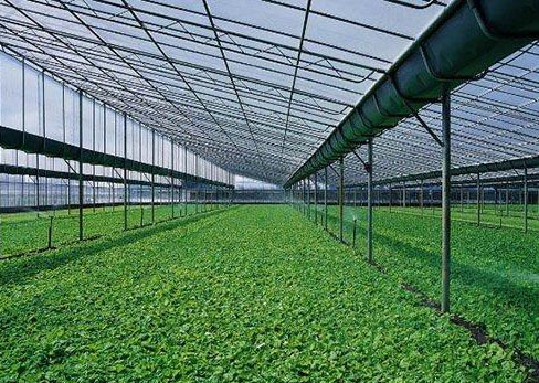 生態(tài)農(nóng)業(yè):有機肥制作方法